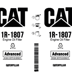 Modelo CAT TRANSPARENTE